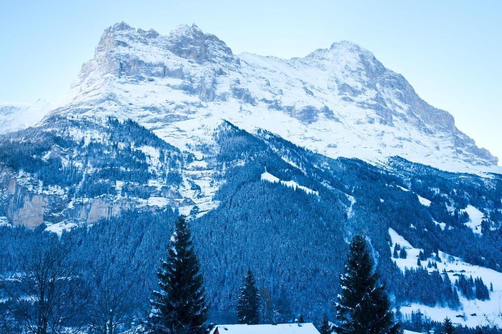 Bernerhof Residence Grindelwald Exterior photo